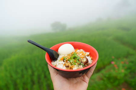 hand hold boiled rice with pork and eggの写真素材