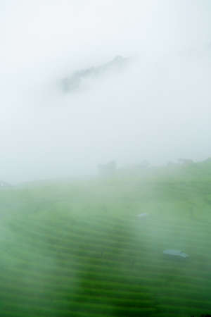The terraced rice paddy in Bong Piang village Chiang mai, Thailandの写真素材