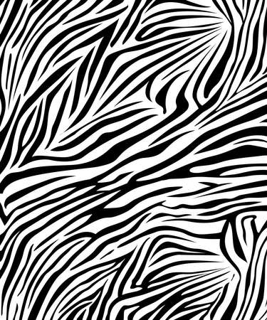 zebra skin texture safari style backgroundのイラスト素材
