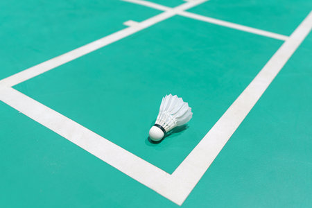 new shuttlecock on green badminton playing courtの写真素材