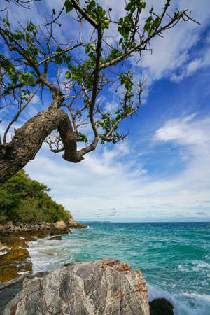 Sand beach among rocks, koh lan island thailandの写真素材