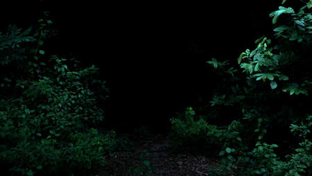 Tropical rainforest foliage plants bushes frame on dark backgroundの写真素材