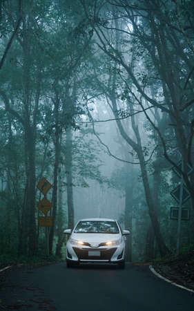 car driving on dark and foggy forest roadの写真素材