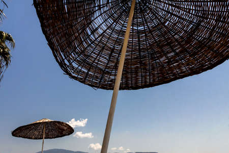straw beach umbrella against the sky with palm treesの写真素材