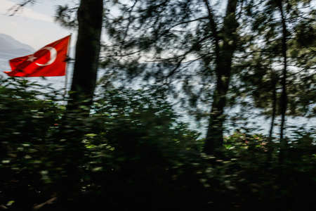 turkish flag in treesの写真素材