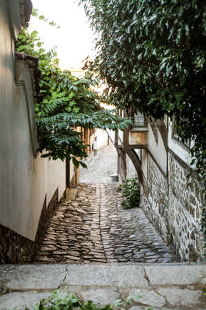 stone stairs with trees, narrow street viewの写真素材