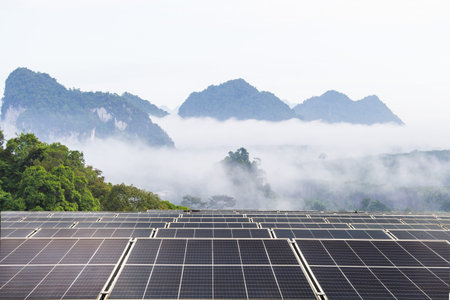 Solar panels on the mountain with fog in the morning,Vietnam