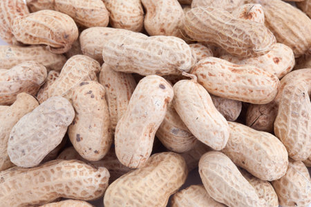 peanut on white background