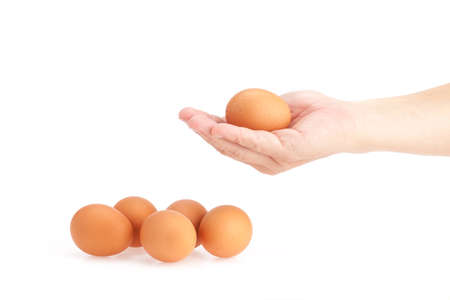 Hand hold egg on white backgroundの写真素材