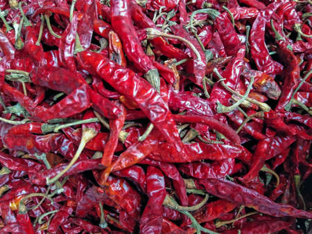 Lots of dry red chillys on one areaの写真素材