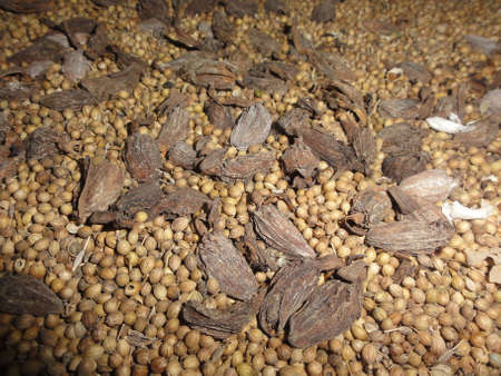 Coriander and black cardamom spice on the groundの写真素材