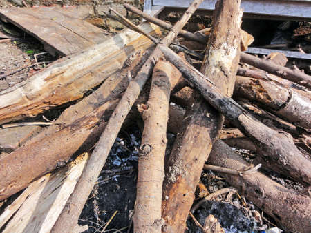 lots of wood kept for dry in the sun for using in winterの写真素材