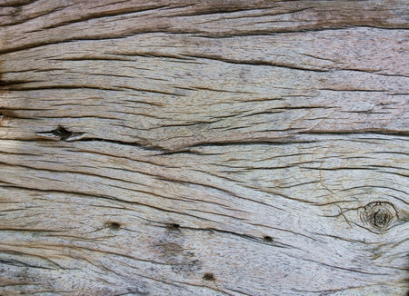 Wood texture