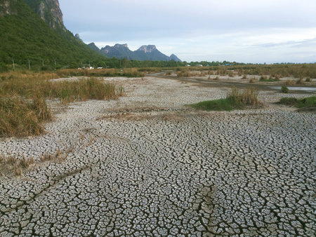 Prachuap Khiri Khan,Thailand - June 9, 2016: Drought makes The wetland  dry and become cracked land,The drought of wetland ,Sam Roi Yot National Parkの写真素材