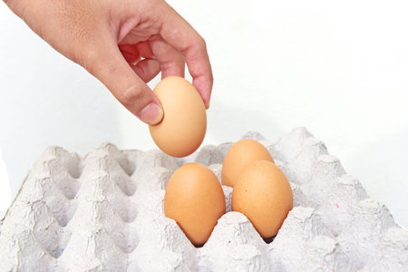 Hand hold egg from  tray on white background