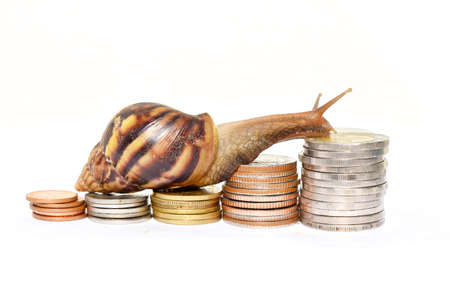 Brown snail climbing  the pile of coins on white background  ,Business and finance ,Victory and success from patience ,Slow economic growthの写真素材