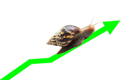 Snail travel along the green arrow line of  the currency chart isolated on white background, Victory and success from patience, Slow economic growthの写真素材