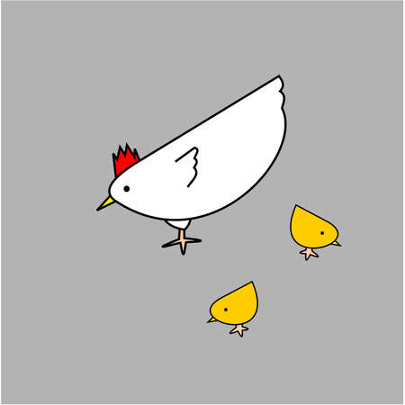 The white hen with two yellow chicks pecking and eating on gray background, Vector illustration of a chicken family living in farmのイラスト素材