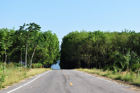 Open road of Farmland roads with rubber plantation and blue sky in background, Southeast Asia,...