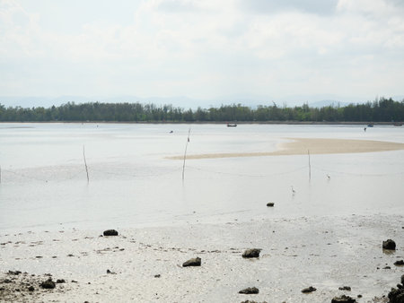 Rocky reefs with sand and mud in water phenomenon at low tide, Fishing boat on the beach , Ocean...