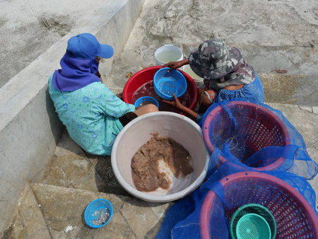 Prachuap Khiri Khan Thailand - October 30 , 2021 : The fishermen wash and filter group of fresh Krill or Opossum shrimp with clean water on the beachのeditorial素材
