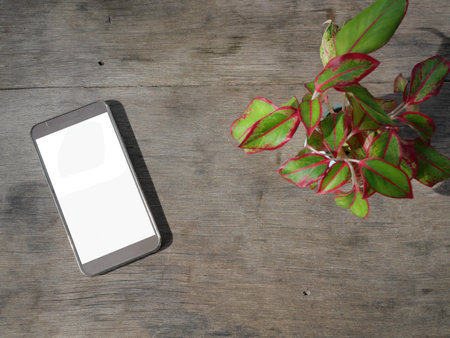 Smart phone with isolated white screen on brown wooden table with Chinese Evergreen plant or red...