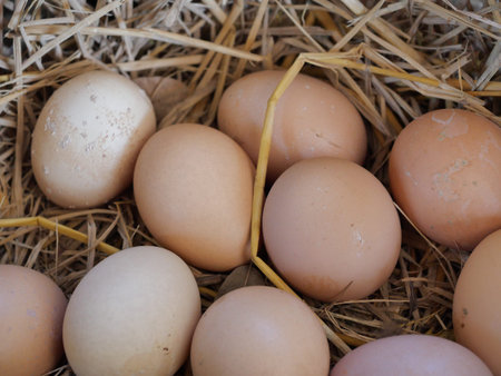 Hen egg in basket, Group of eggson straw , Highly nutritious food from poultry