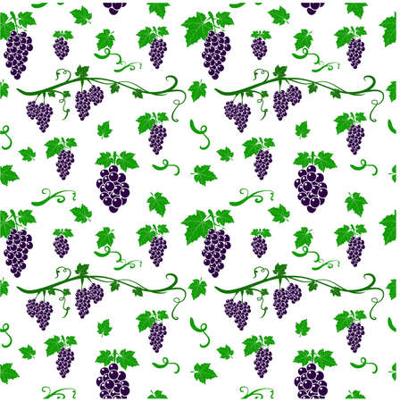 Seamless pattern with grapes background. Vector  illustrationのイラスト素材
