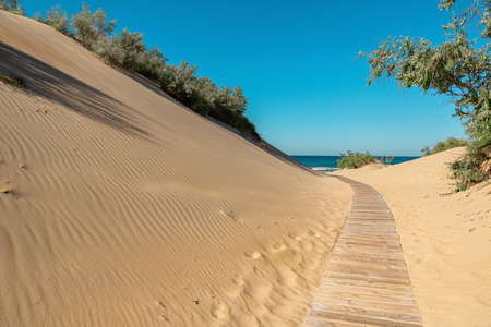 wooden path to the sea in the sand dunesの写真素材