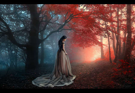 Fantasy image of a young woman in a long dress in a dark forest.の写真素材