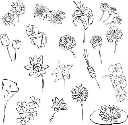 flowerのイラスト素材