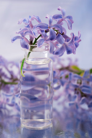 a small sprig of lilac flowers in a small transparent bottleの写真素材