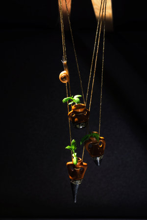 composition of three small earthenware jars suspended on ropes with plant sproutsの写真素材