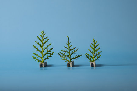 three small Christmas trees on a blue background copy spaceの写真素材