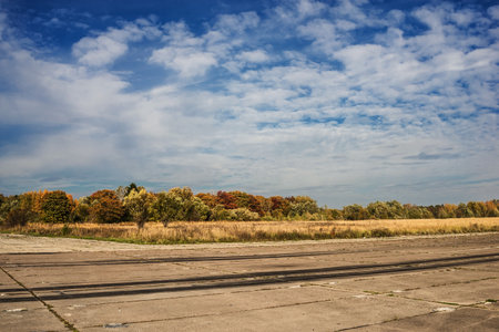 autumn landscape with yellowed trees and dry vegetation and an old concrete roadの写真素材
