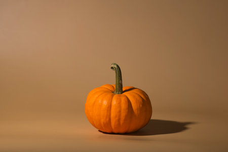 small ripe orange pumpkin on a dark backgroundの写真素材