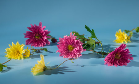 pink and yellow flowers scattered on a blue backgroundの写真素材