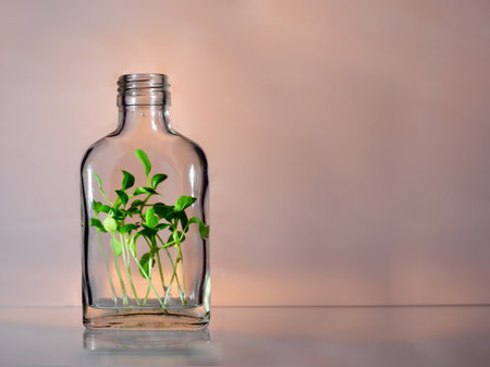 Green seedling in a glass bottle on a white table and blurred backgroundの写真素材