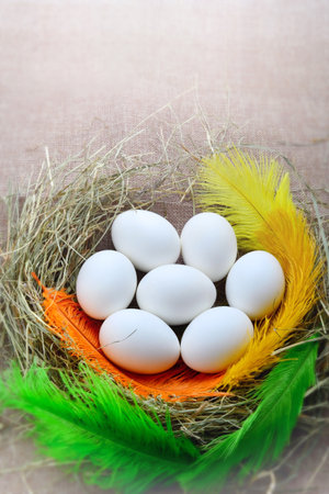 Easter eggs in nest with feathers on wooden background, easter conceptの写真素材