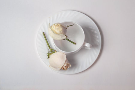 White rose on a white saucer with a cup of coffee.の写真素材