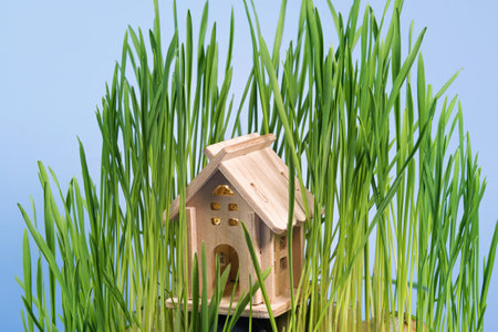 Wooden toy house in green grass isolated on blue background. real estate conceptの写真素材
