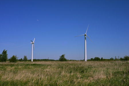 Wind turbines in a meadow on a sunny day. Renewable energy.の写真素材