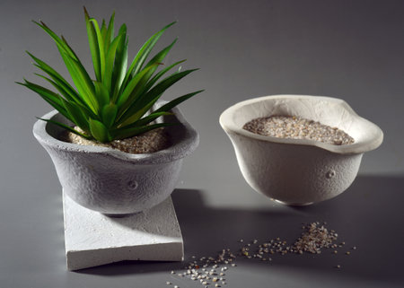 Ceramic pots with aloe vera and sesame seedsの写真素材
