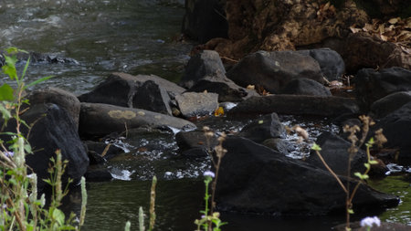 Watersideの写真素材