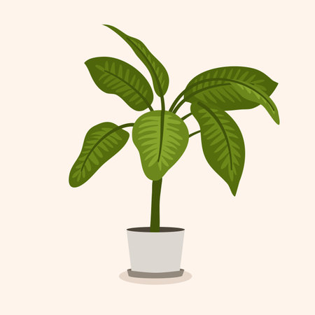Illustration potted palm for the interior. Flat isolated.のイラスト素材