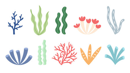 Set of hand drawn flat cartoon seaweed and corals on isolated white background. vector illustrationのイラスト素材