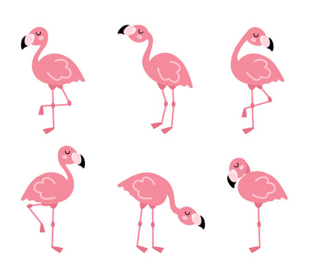 Cute cartoon pink flamingo set. Exotic birds in different posesのイラスト素材