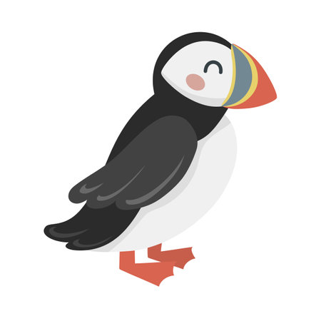 Cute cartoon hand drawn puffin on isolated white background. Character of the arctic, tundra, forest animals for the logo, mascot, design.のイラスト素材