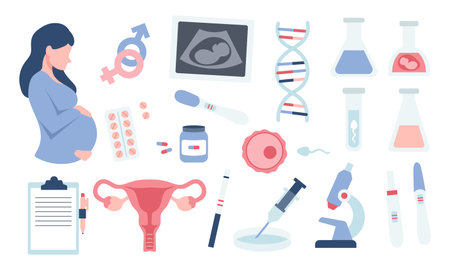 Pregnancy set elements in cartoon flat style. Medical test, sex determination, fertilization. Uterus and sperm.のイラスト素材