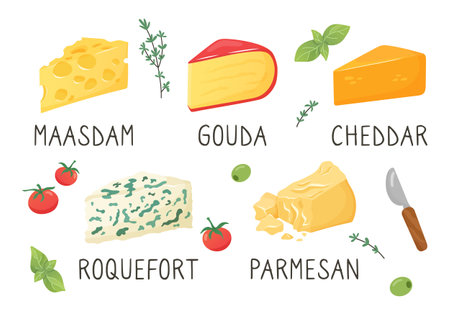 Set of different types of cheese. Cheese appetizers. Olives, tomatoes, basil, thyme. Maasdam, Gouda, Cheddar. Roquefort, Parmesan. Cartoon icons collection. Vector illustrationのイラスト素材